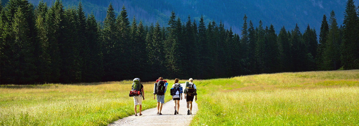 A group of people hiking together towards large mountains.
