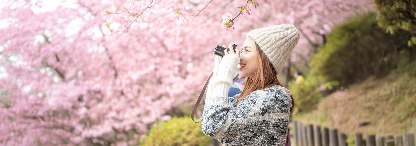 Smiling woman capturing cherry blossoms on a walk in the National Mall and Memorial Parks in Washington DC.